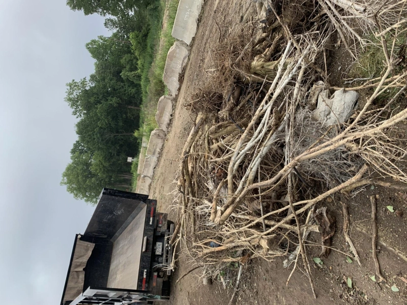 Best yard Removal Services in Raleigh, NC | 1-888-PIK-IT-UP
