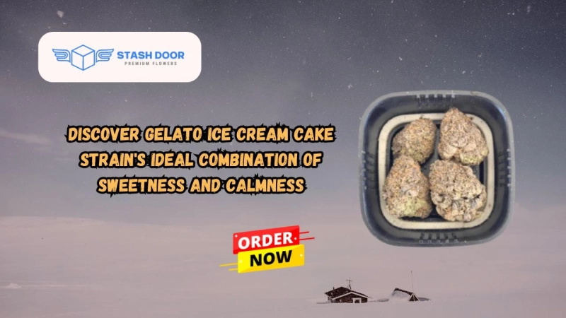 Discover Gelato Ice Cream Cake Strain's Ideal Combination of Sweetness and Calmness