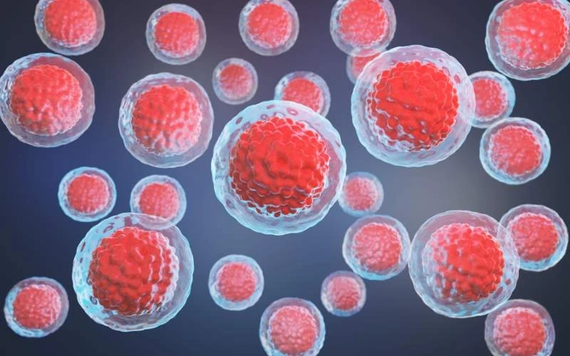 Stem Cell Therapy in IBD