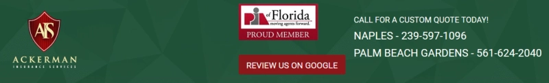 Why are insurance companies in Naples so much crucial?