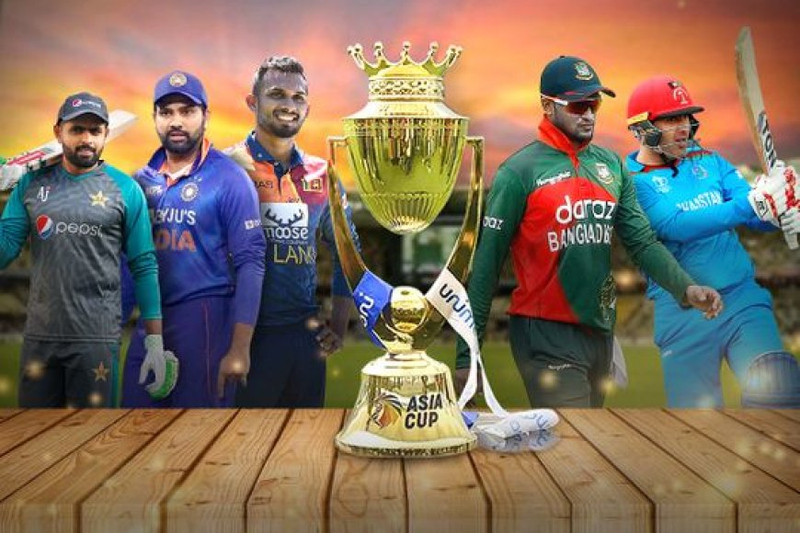 The Role of Pitch Conditions in T20 Cricket Betting