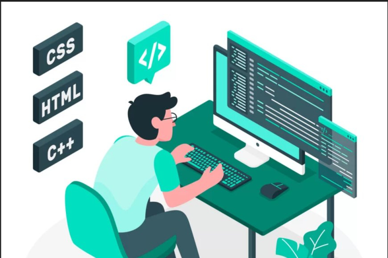 How to Evaluate the Portfolio of a Web Development Company