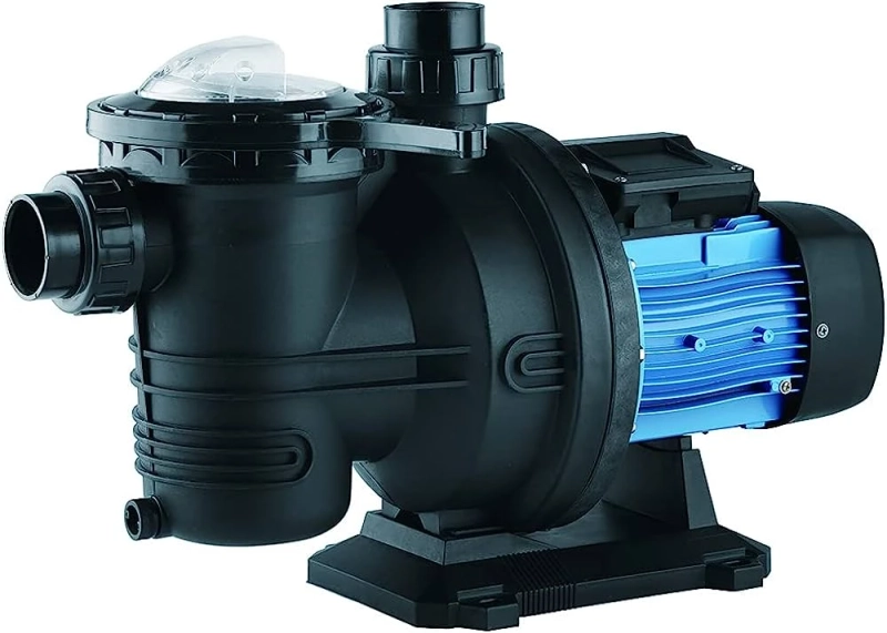Choosing the Right Pool Pump to Fit Your Budget