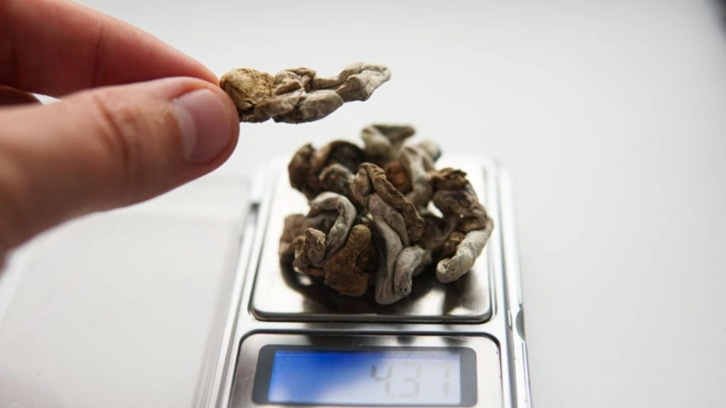Beyond Hallucinations: Exploring the Spiritual Dimensions of Magic Mushrooms