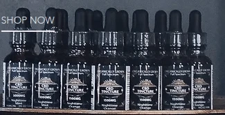 Factors to Consider when Buying CBD Tincture