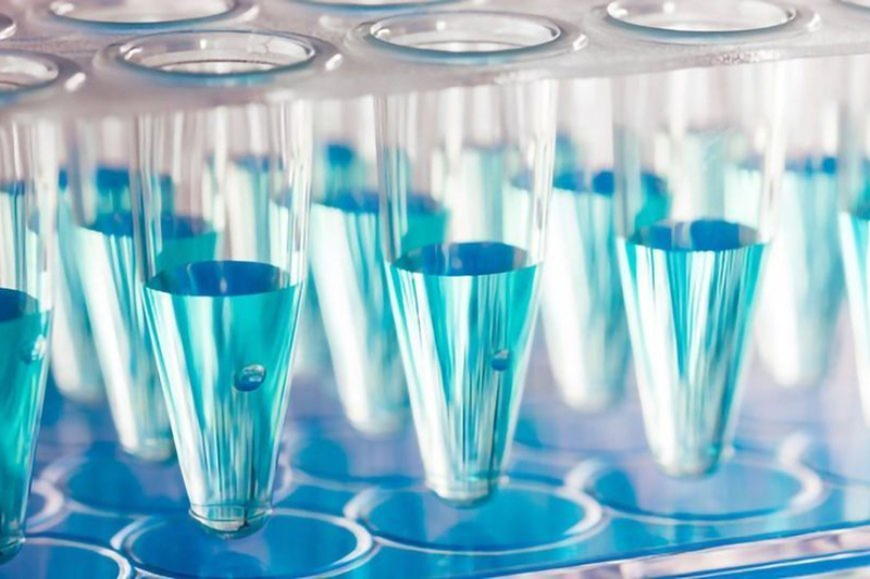 Navigating Drug Approval: Regulatory Insights into ddPCR Gene Expression and ELISA Assay Validation in Toxicokinetic Analysis