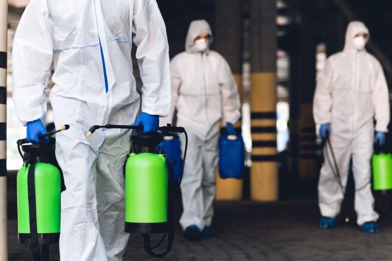Most Effective Mold Remediation Products and how to use them?