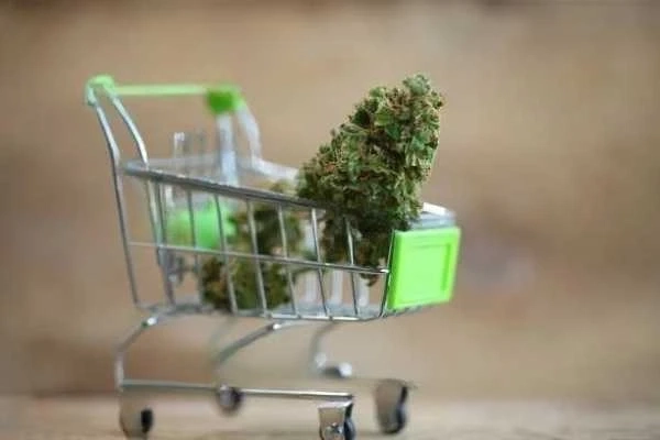 Exploring Different Types of Weed Delivery Services: Local vs. Nationwide