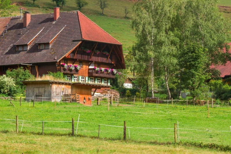 Treasures That Carry Memories: Objects Worth Passing Down