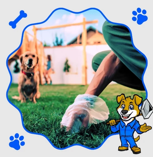 Reliable Dog Poop Pickup in DFW: Keep Your Yard Clean & Your Pets Happy
