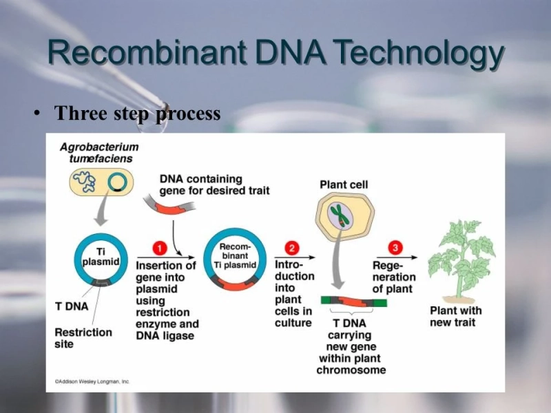 How Recombinant DNA Technology Is Revolutionizing Medicine and Biotechnology