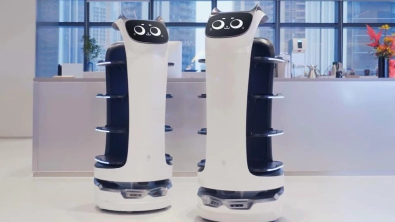 Meet BellaBot: The Robot Cat That's Taking the World by Storm