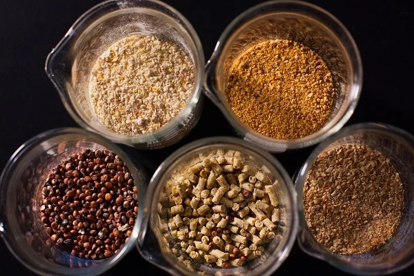 Global Enzymes Market Key Players