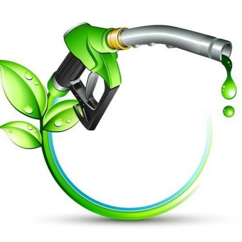 Players in Bioethanol Market Emphasis on Using Renewable Energy Crops Such as Switchgrass, Sugar Cane