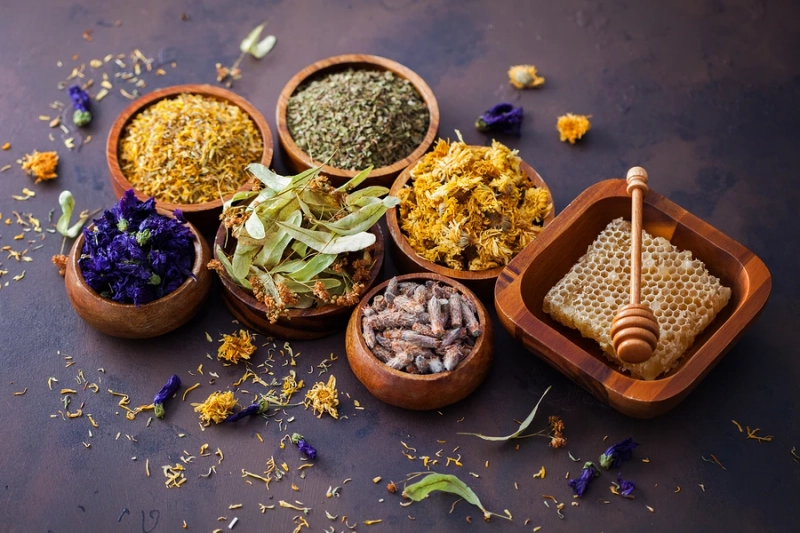 Leading Company for Herbal Formulations and Natural Products