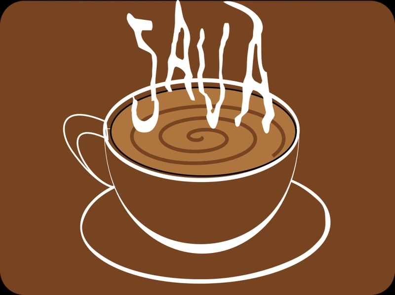 Why should you learn Java in 2022?
