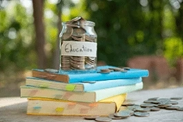 The Path to Financial Bliss: Exploring 'Money Honey