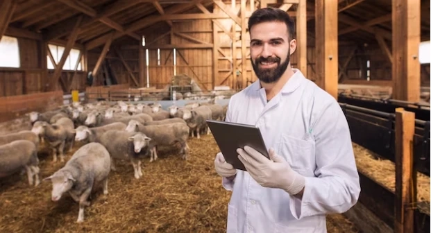 Insurance for Farm Machinery and Average Rates