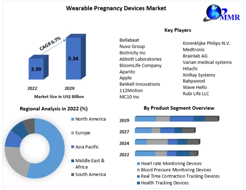 Wearable Pregnancy Devices Market Investment Opportunities, Future Trends, Business Demand and Growth Forecast 2029