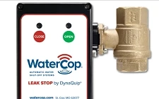 Exploring the Benefits of Water Leak Detection