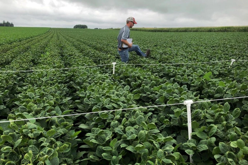 The Future of Dicamba: Advancements and Innovations