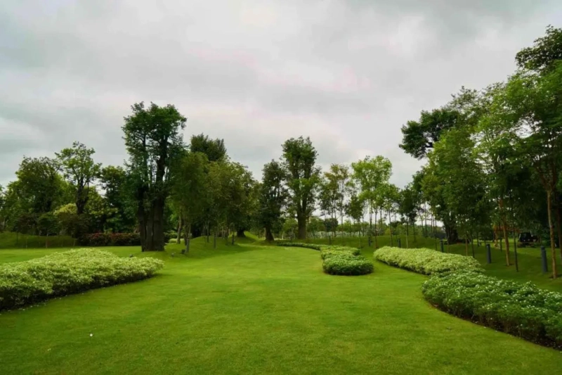 Reasons to Hire Professionals for Residential Outdoor Landscape Maintenance