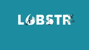 How to Contact Lobstr Wallet Customer Support: Best Practices for Fast Resolution
