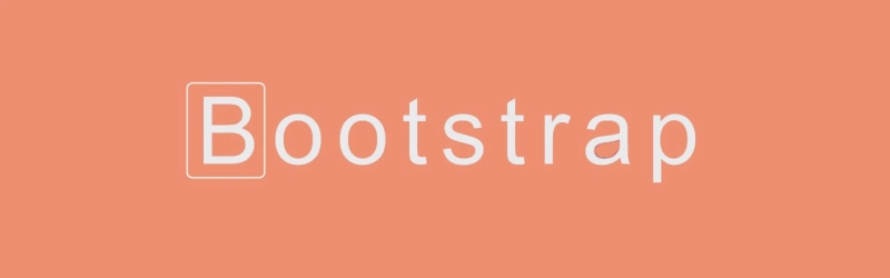 Bootstrap Company in US