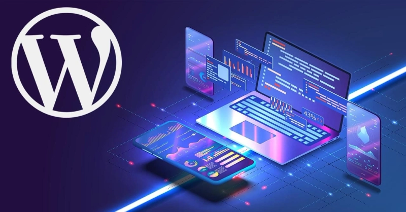 Wordpress Development Services Offer By Ray Software Solution