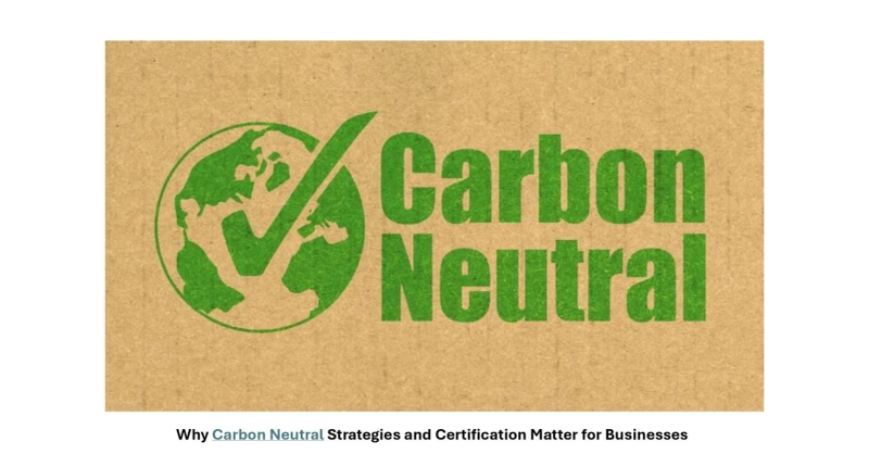 Why Carbon Neutral Strategies and Certification Matter for Businesses
