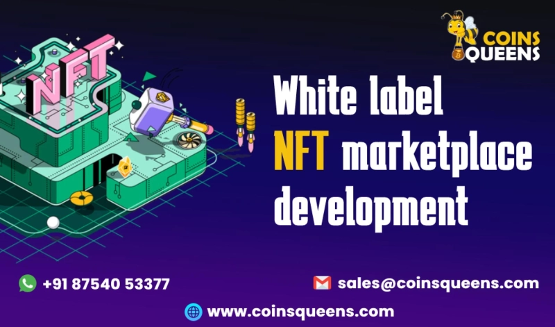 Launch your White label NFT marketplace development instantly