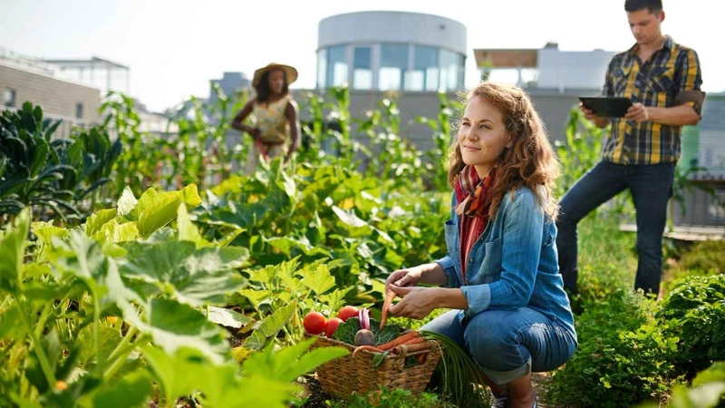 The Important Components of Sustainable Community Development