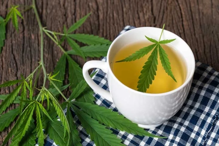 Hemp Tea Market Trend, Segmentation and Forecast to 2028