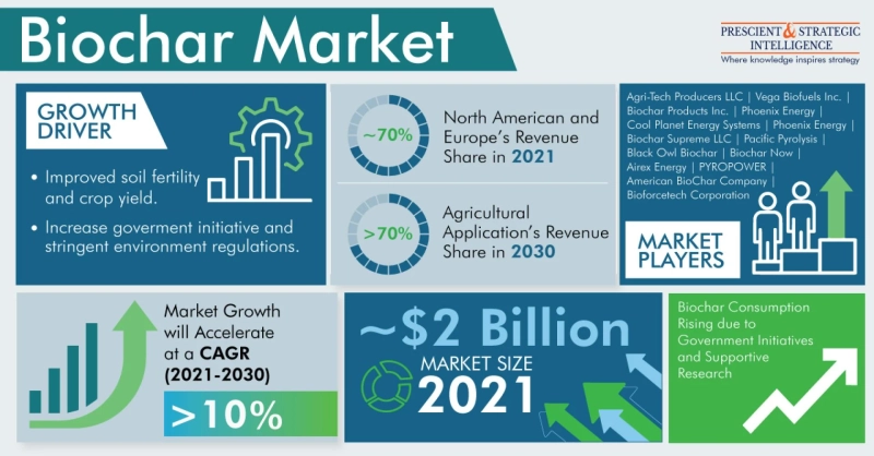 Harnessing Nature's Power: Exploring the Growing Biochar Market