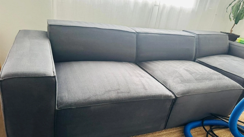 Key Reasons to Hire A Couch Cleaning Company in Sydney