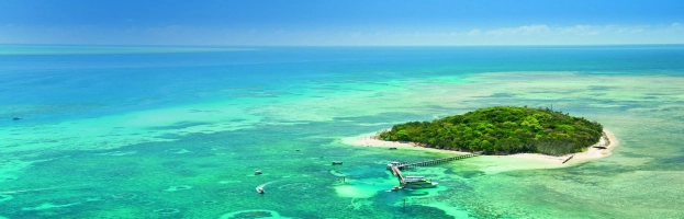 Double Adventure with Cairns Cruises - Explore the Reef Wonders & Witness the Rainforest Magic!