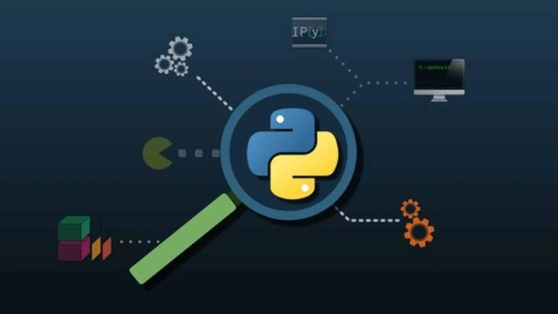 Top 5 Tips for Hiring a Python Developer That Fits Your Company Culture