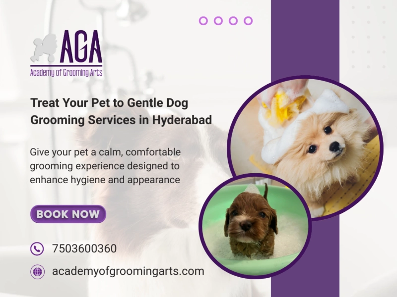 Why Nail Trimming and Ear Cleaning Are Not Optional Grooming Steps