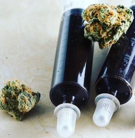 FECO vs RSO: Understanding the Key Differences Between These Popular Cannabis Oil Extracts