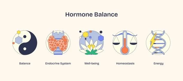 How Hormones and Metabolism Impact Long-Term Weight Loss