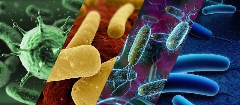Small RNA Sequencing: An Advanced Tool for Studying Post-Transcriptional Regulation