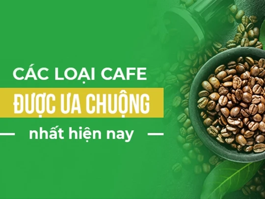 Các loại cafe phổ biến nhất hiện nay