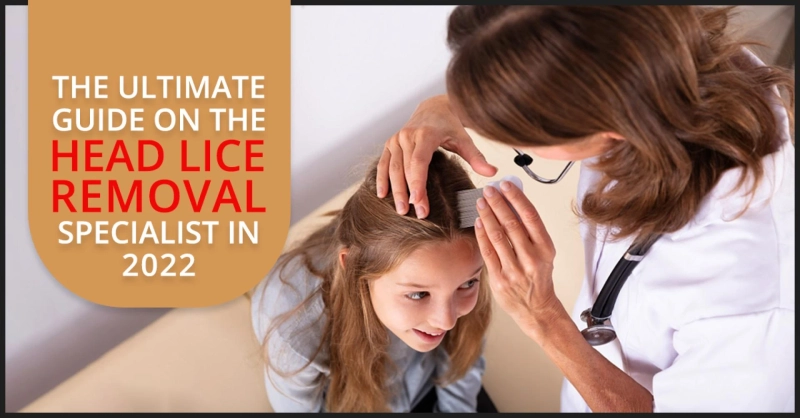 The Ultimate Guide On The Head Lice Removal Specialist In 2022