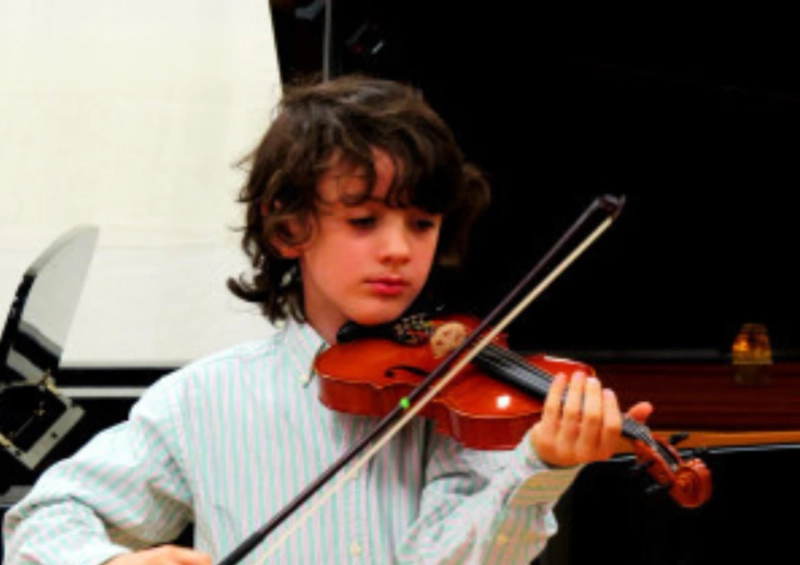 How Are Violin, Viola, Cello, and Double Bass Built—And What Makes Each One Unique?