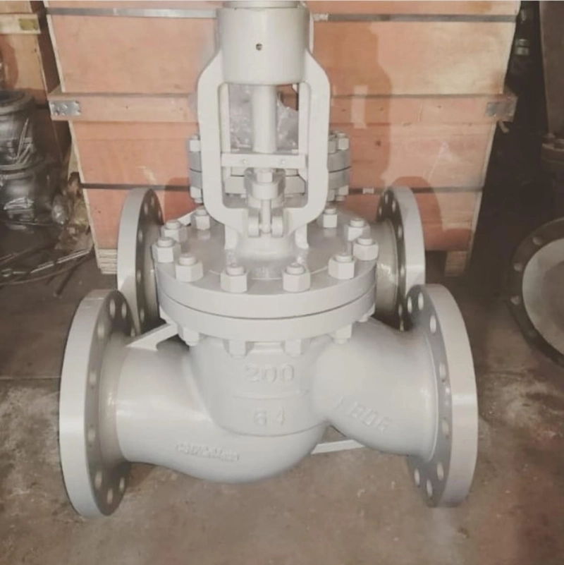 API Globe Valve Manufacturer in USA