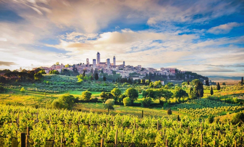 The Taste Of Tuscany: Savour it With The Chianti Area Wineries Tour in a Limo