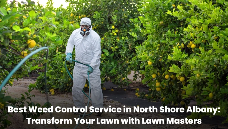 Best Weed Control Service in North Shore Albany: Transform Your Lawn with Lawn Masters