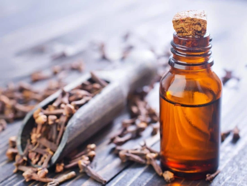 Health Benefits of Clove Oil and Where to Buy?