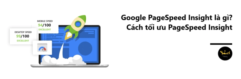 Google PageSpeed Insight Là Gì? Các Kỹ Thuật Tăng Điểm Page Speed Insight
