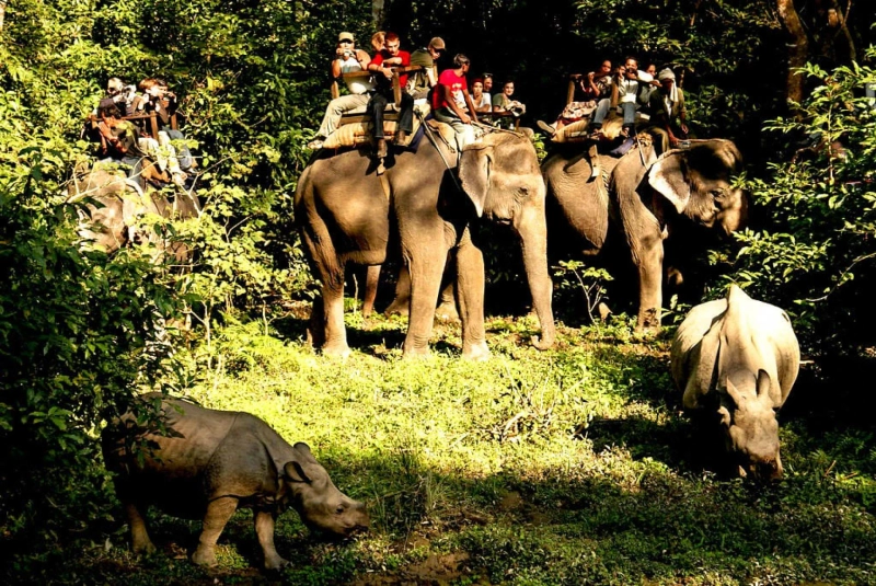 Things To Do In Chitwan National Park 2021